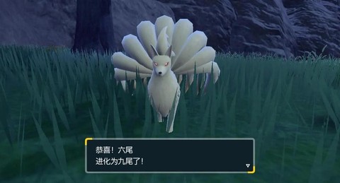 口袋妖怪进化石怎么得