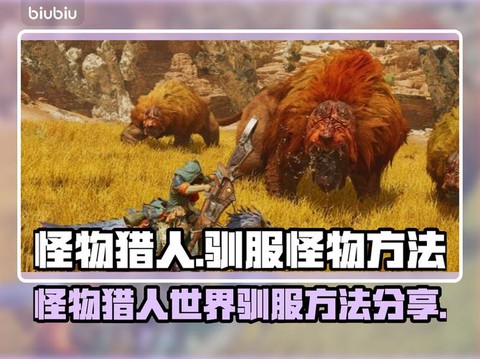 怪物猎人如何抓怪物