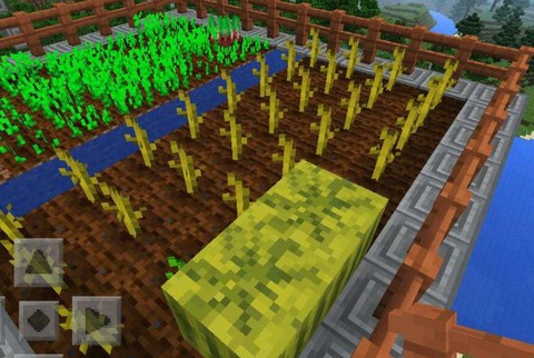 迷你世界西瓜怎么种快