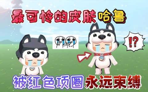 迷你世界狗怎么换项圈[图2]