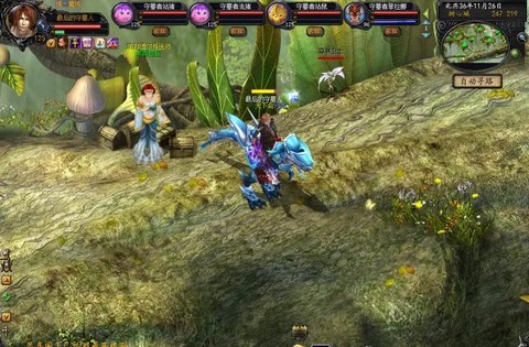 魔域永恒带什么宠物好